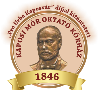 Közzététel