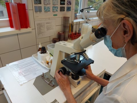 Mikrobiológiai laboratórium fejlesztése a Kórházban